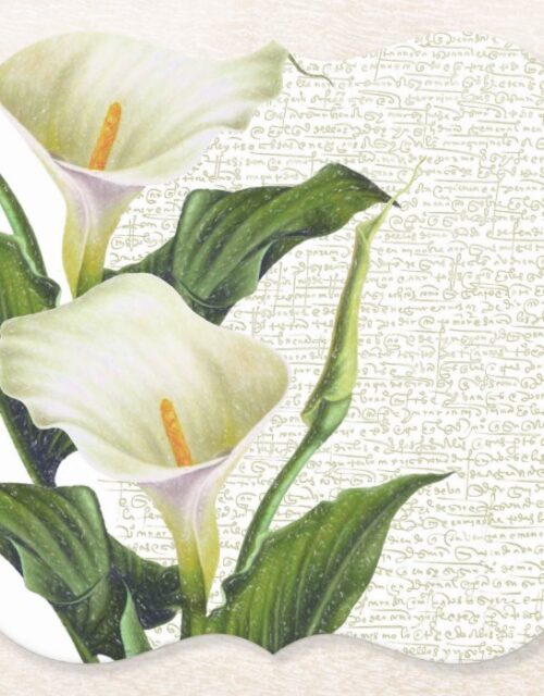 Beautiful Calla Lilies Paper Coaster