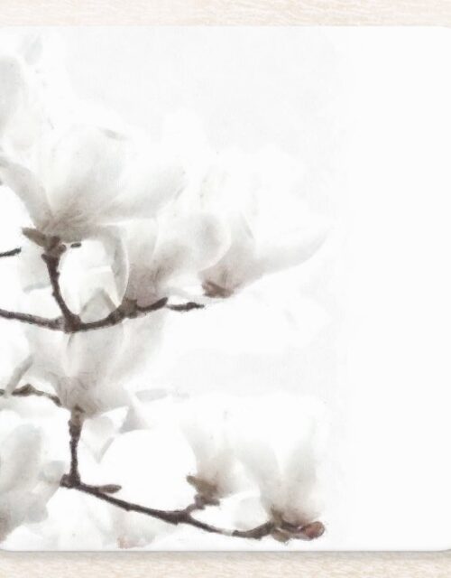 Elegant Black and White Magnolia Floral Watercolor Square Paper Coaster