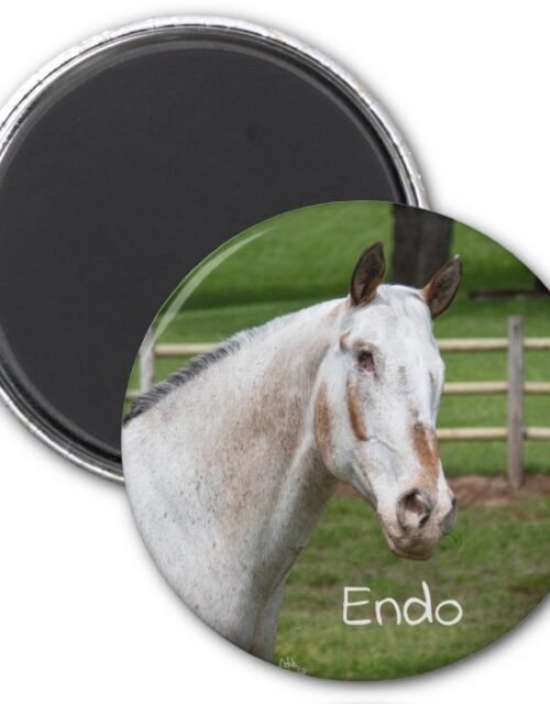 Endo The Blind - Magnet