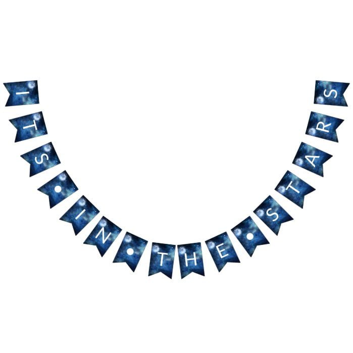 Lunar Sky Full Moon It's In the Stars  Wedding Bunting Flags