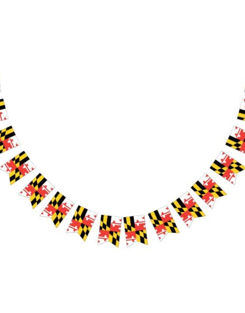Maryland Flag Party Bunting Banner