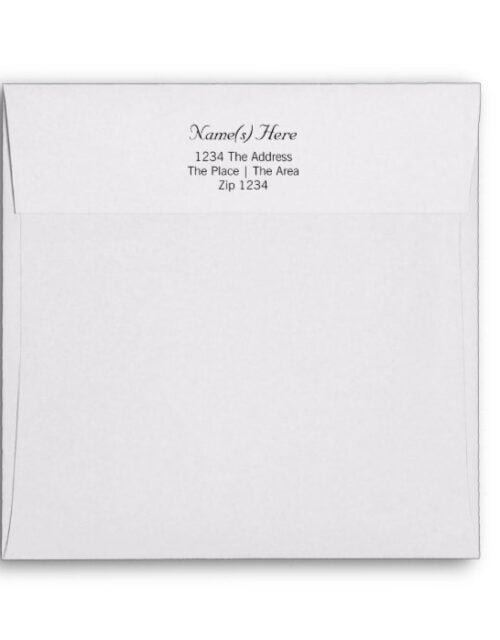 Plain With Return Address Envelope