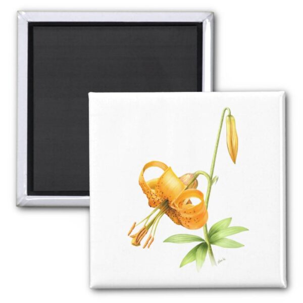 Wild Tiger Lily Magnet